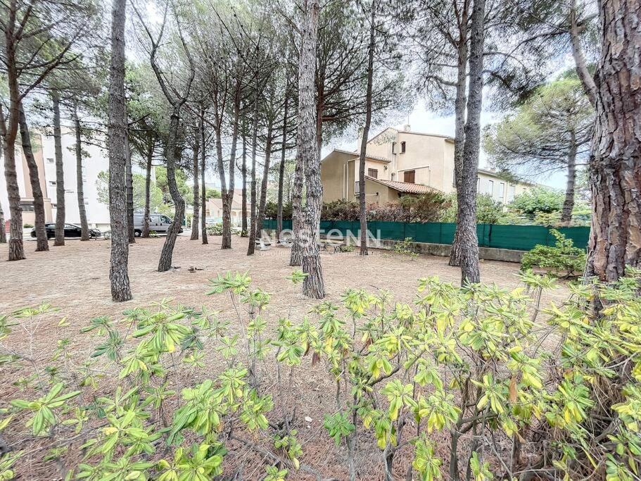 2980-Appartement 1 Ch A 100M De La Mer Argelès-sur-Mer Eksteriør billede