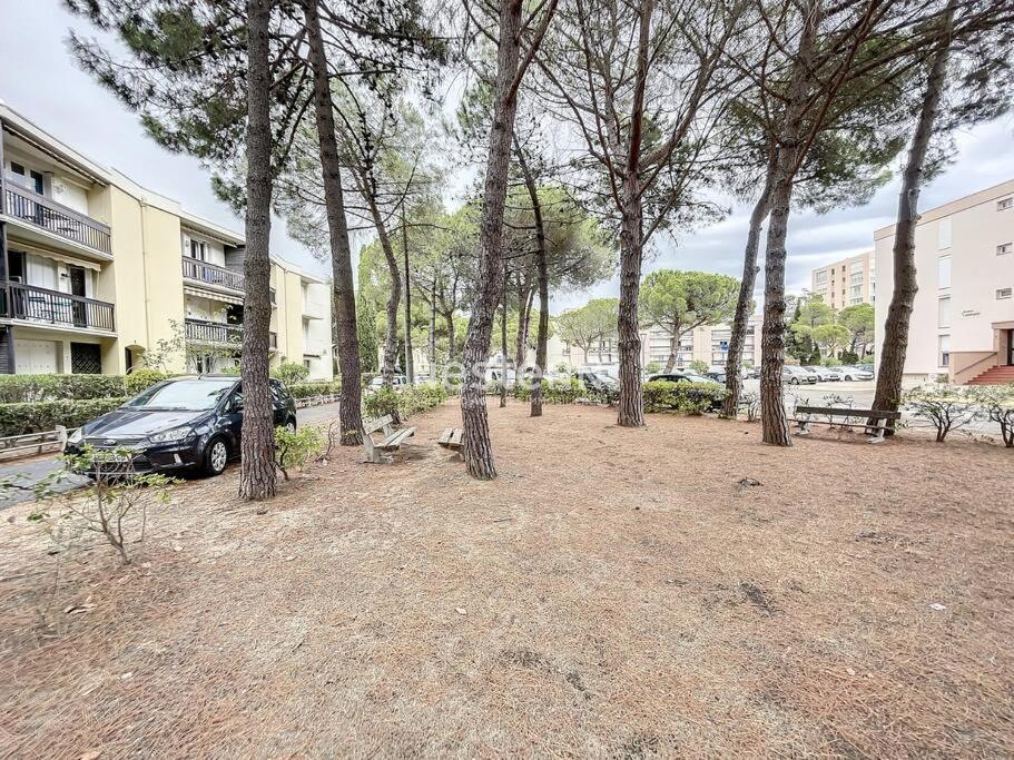 2980-Appartement 1 Ch A 100M De La Mer Argelès-sur-Mer Eksteriør billede